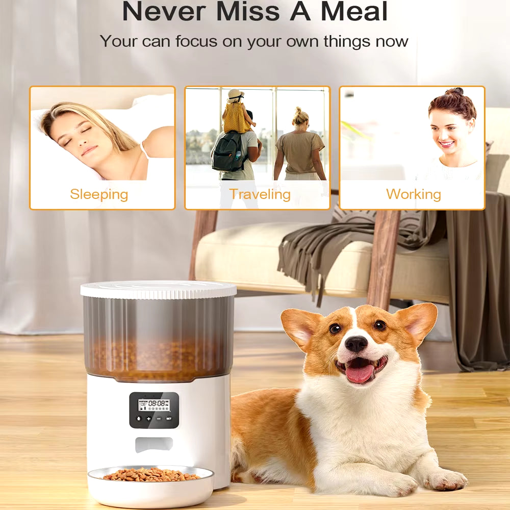 The Furry Feast-o-Matic 4L: Your Pet's Personal Chef and Hydration Station (Because They’re Too Posh to Drink from a Bowl!)