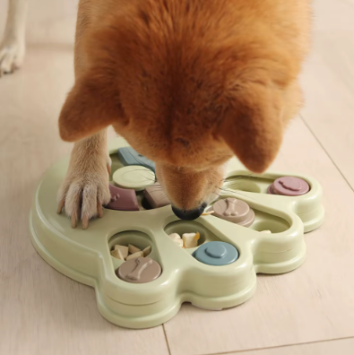 Gamelle Interactive pour Grand Chien – Nourrissez l'esprit, stimulez l'appétit Chien