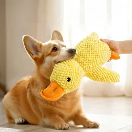 Peluche Canard – Un compagnon de jeu irrésistible et réconfortant Chien